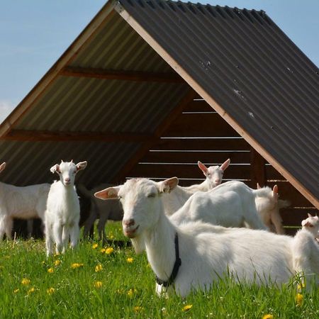 Farma Klinec Villa Bagian luar foto