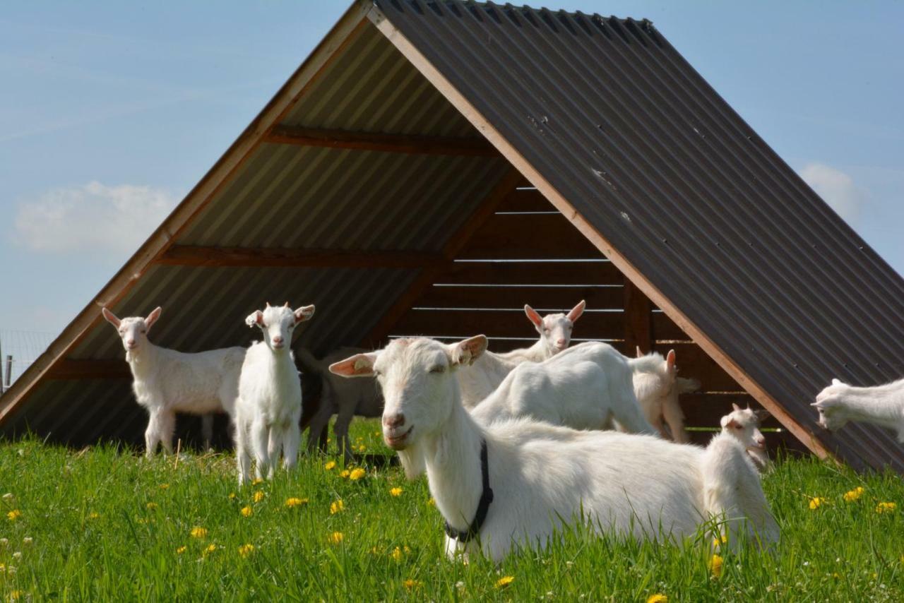Farma Klinec Villa Bagian luar foto
